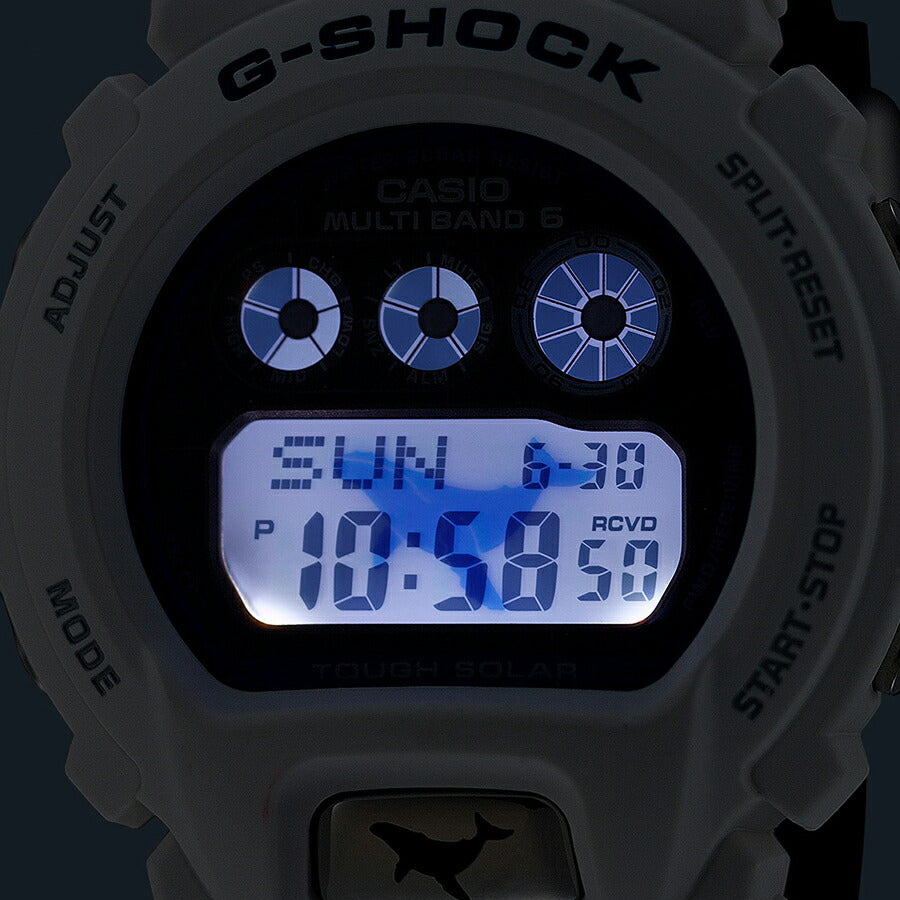 G-SHOCK アイサーチ・ジャパン コラボレーションモデル 2025 ザトウクジラ GW-6905K-7AJR メンズ 電波ソーラー デジタル 樹脂バンド イルクジ