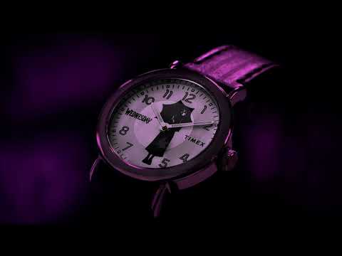 タイメックス TW2Y19400