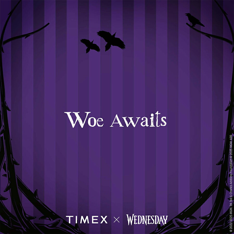 タイメックス ウィークエンダー ウェンズデー コラボレーションモデル TW2Y19400 メンズ レディース クオーツ 電池式 アナログ 革ベルト