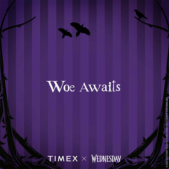 タイメックス ウィークエンダー ウェンズデー コラボレーションモデル TW2Y19400 メンズ レディース クオーツ 電池式 アナログ 革ベルト