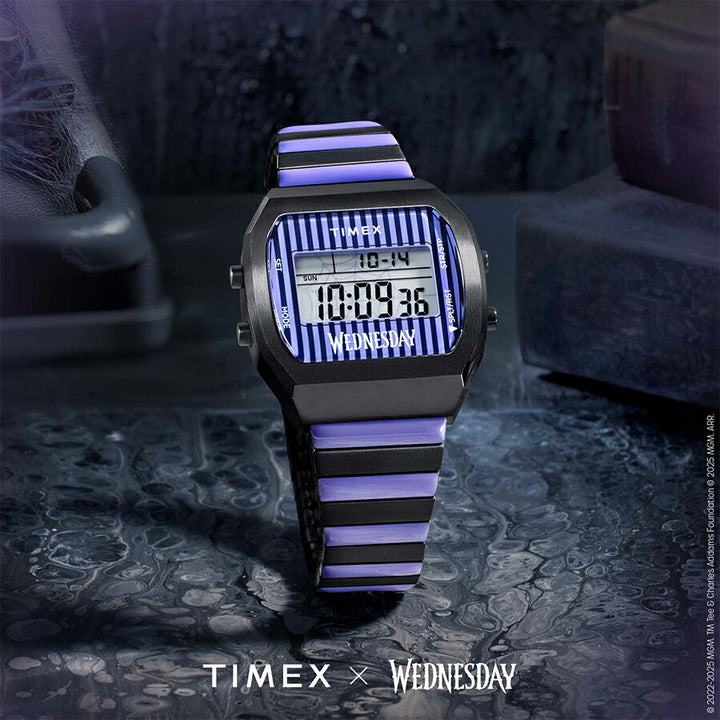 タイメックス TW2Y19500