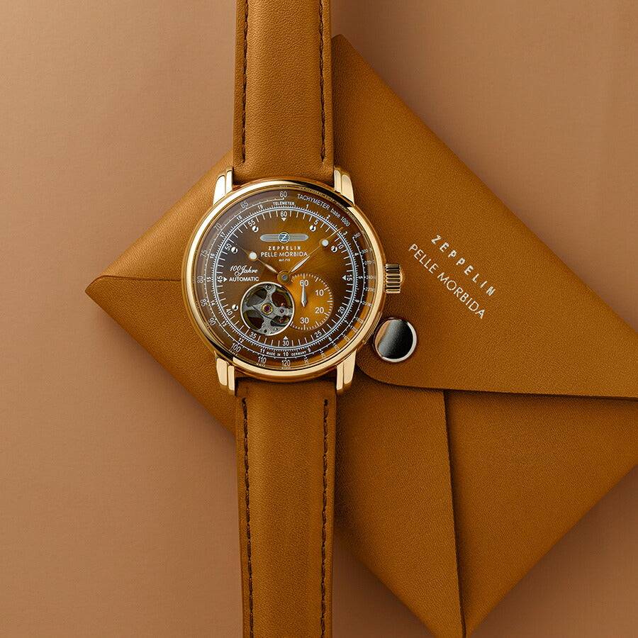 Marron様限定 11月21日発売》ツェッペリン 100周年記念シリーズ PELLE MORBIDA