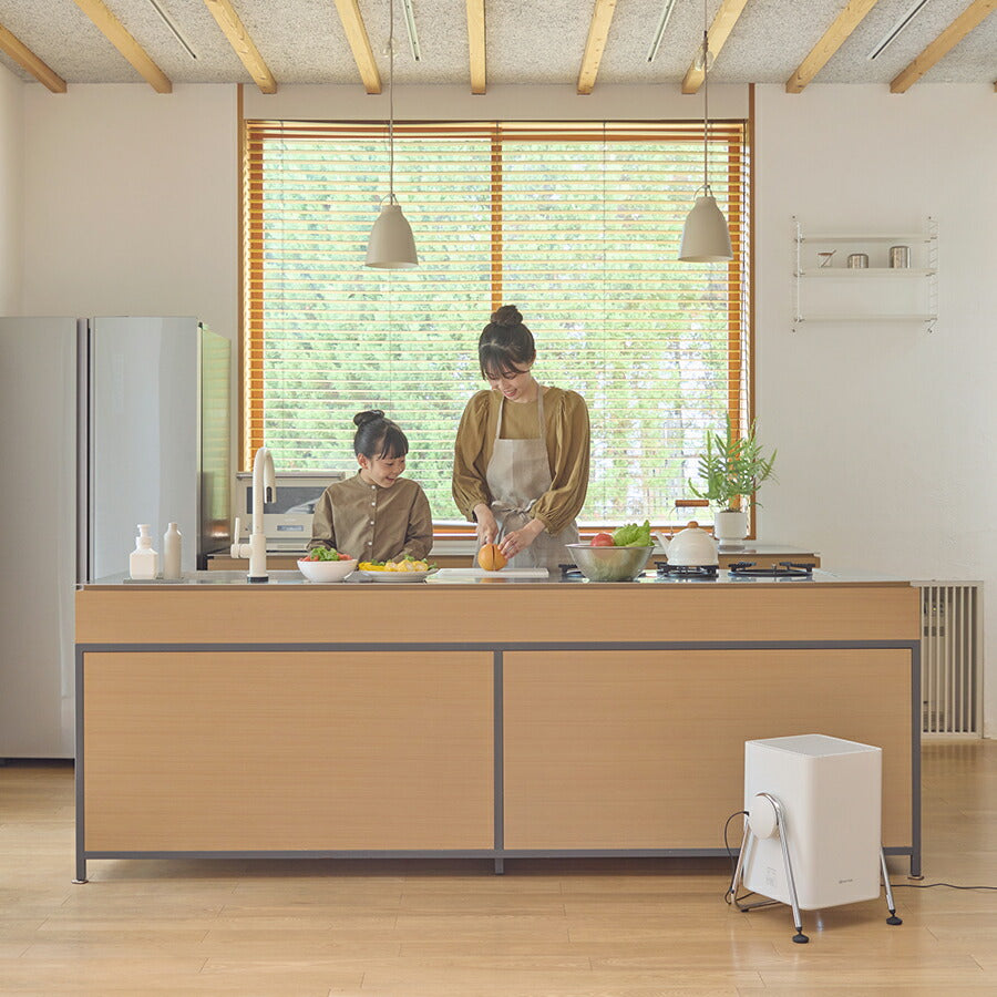 リズム 空気清浄機 コンパクトサイズ 36畳 2重反転ファン ライトグレー Silky Wind Clean 9YYA63RH08