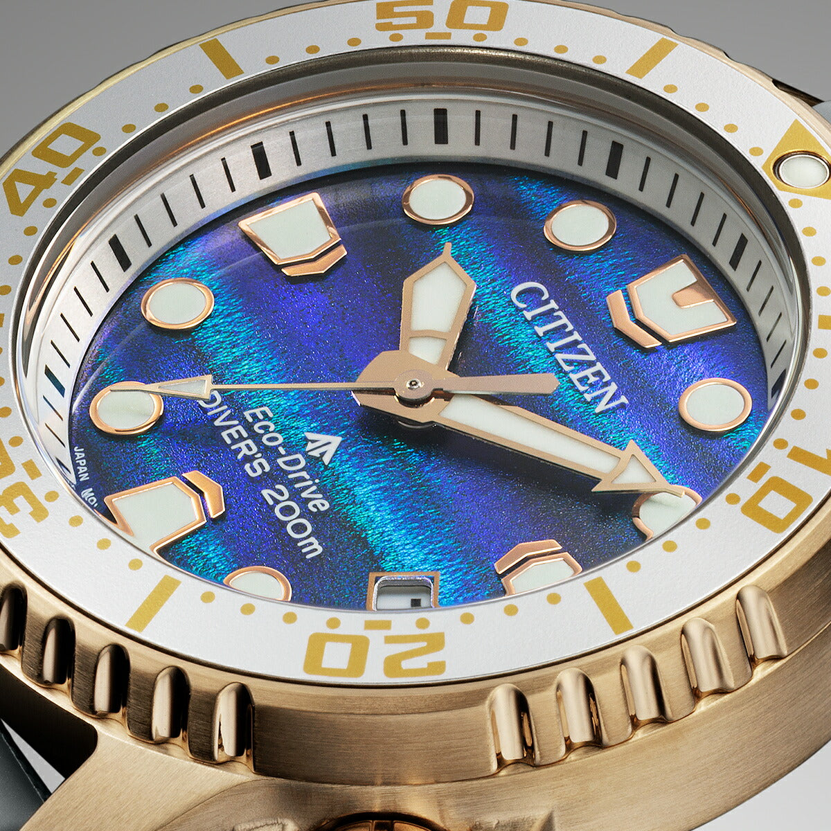 プロフ必須さま専用 CITIZEN PROMASTER JP2008-06E 保護フィルム【各種】PDA工房