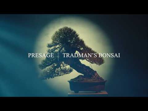 セイコー プレザージュ クラシックシリーズ TRADMAN'S BONSAI コラボレーション 限定モデル HCC011J メンズ メカニカル 自動巻き ゴールド