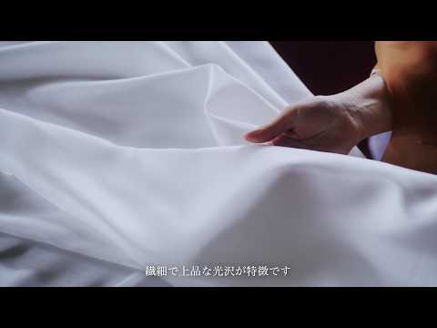 セイコー プレザージュ クラシックシリーズ 富岡シルク推進機構 限定モデル HCC010J メンズ メカニカル 自動巻き 革ベルト