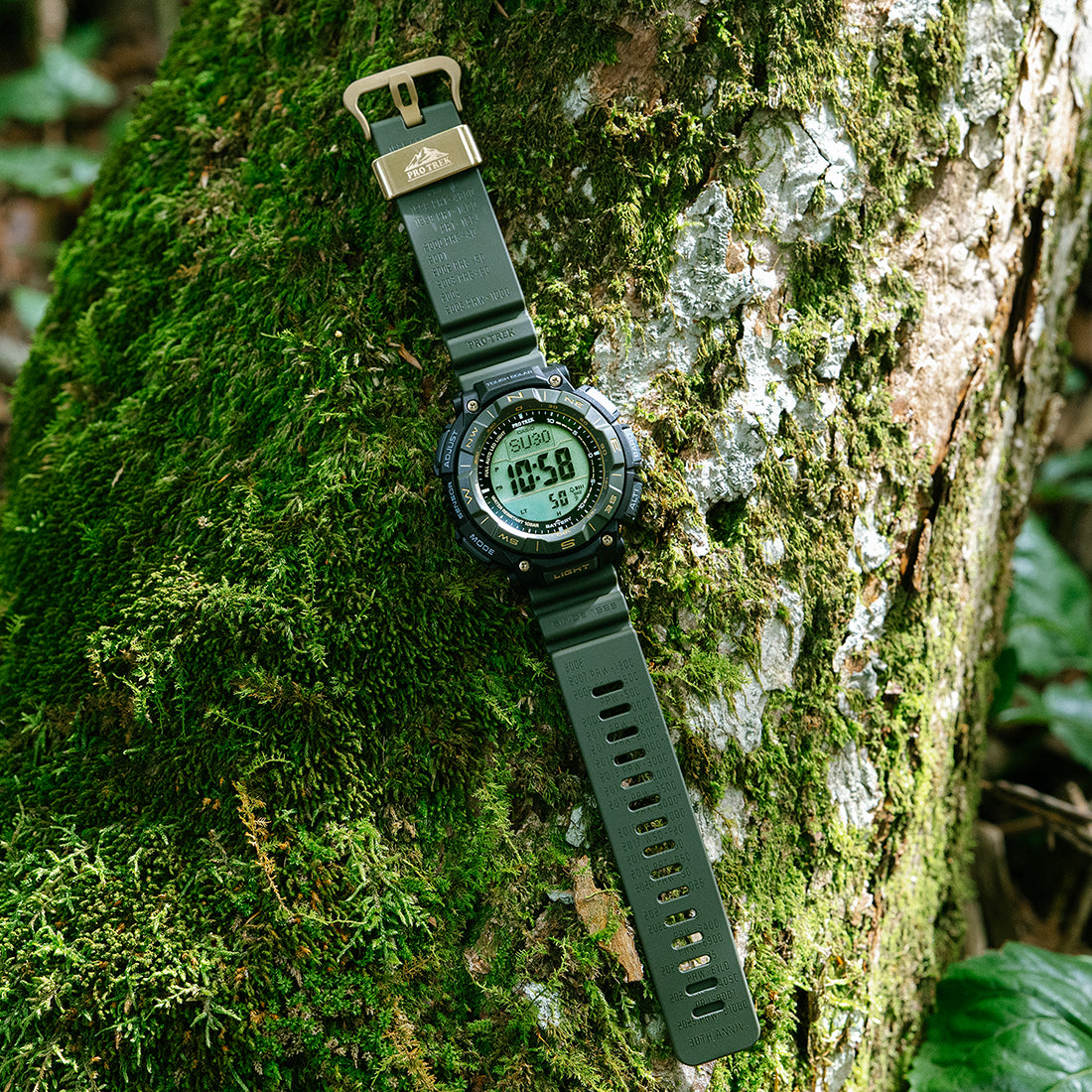 11月8日発売》プロトレック 30周年記念モデル 木漏れ日 PRG-340ANS-3JR