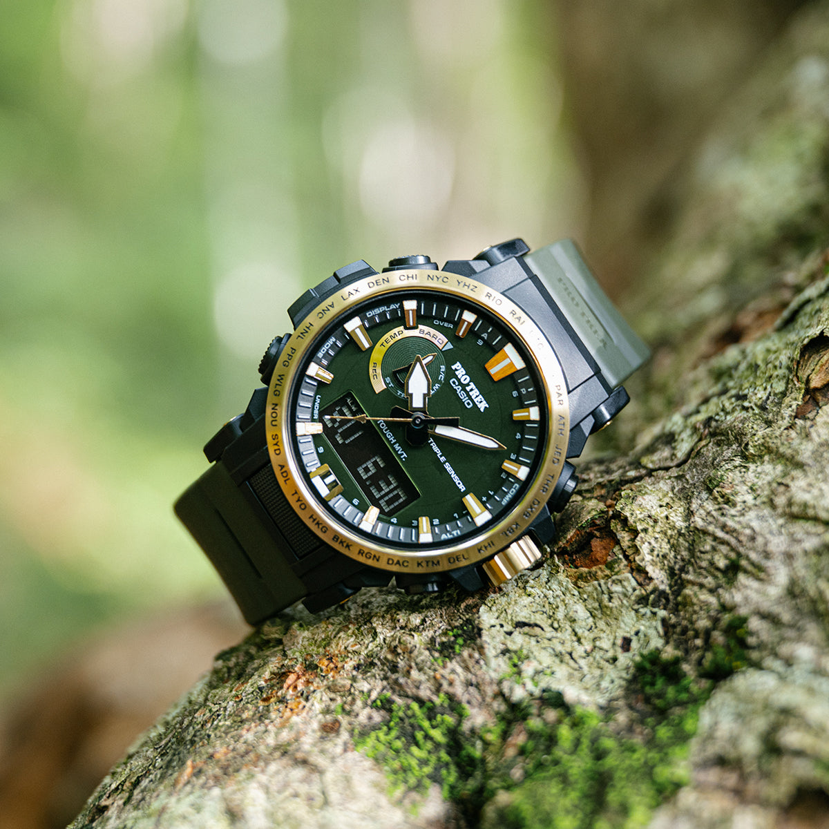 11月8日発売》プロトレック 30周年記念モデル 木漏れ日 PRW-61ANS-3JR