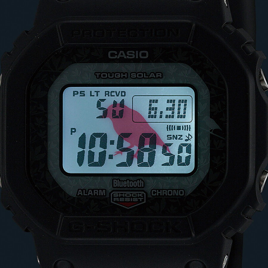 G-SHOCK チャールズ・ダーウィン財団 コラボレーションモデル ...